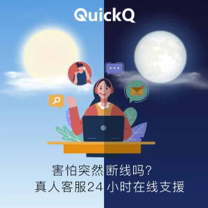 QuickQ使用网银或支付网站前，应核对哪些设备与验证要求？